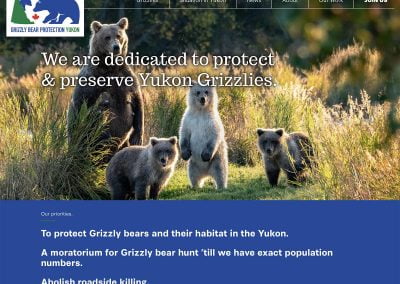 Grizzly Bear Protection Yukon