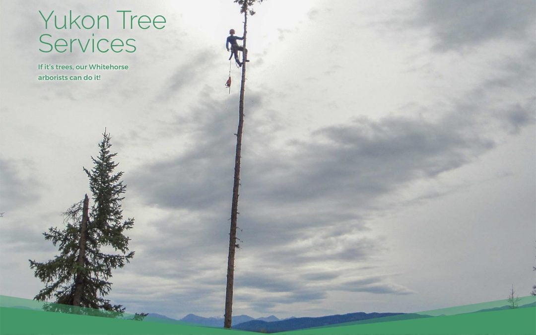 Yukon Tree Services