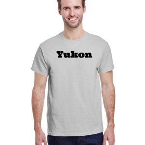 Gildan Adult Heavy Cotton 8.8 oz./lin. yd. T-Shirt | G500